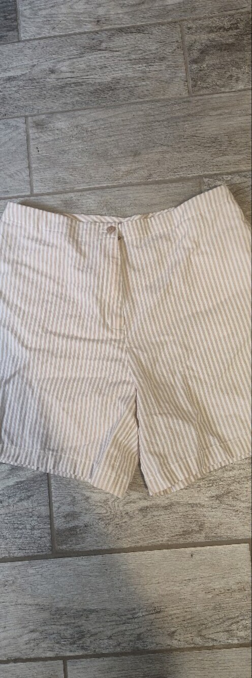 Westbound Beige and White Striped Shorts #583